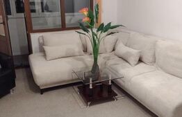 Apartament de 2 camere, 46 mp, zona Tesatura
