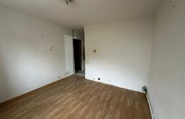 Apartament de 3 camere, decomandat, etaj 1, Nicolina 2