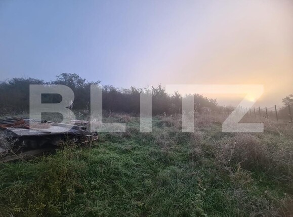 Teren de vânzare Dorobanti - 160466TV | BLITZ Iași | Poza1