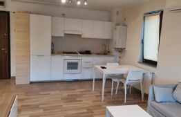 Apartament de 2 camere, 50 mp, zona Podu de Fier