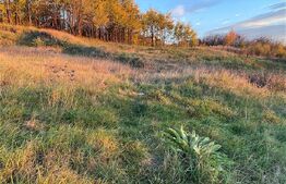  Teren Intravilan 1670 mp, în zona-Copou, Viticultori