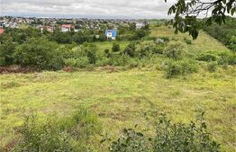 Teren de vânzare Strugurilor - 162842TV | BLITZ Iași | Poza2