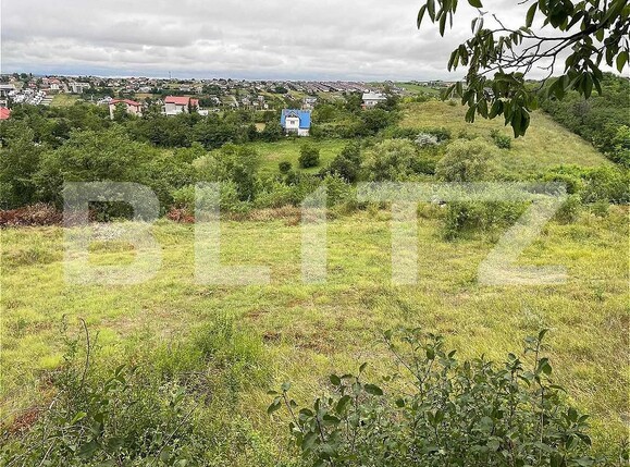 Teren de vânzare Viticultori - 160963TV | BLITZ Iași | Poza1