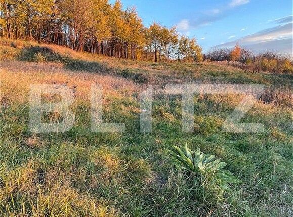 Teren de vânzare Viticultori - 160963TV | BLITZ Iași | Poza2