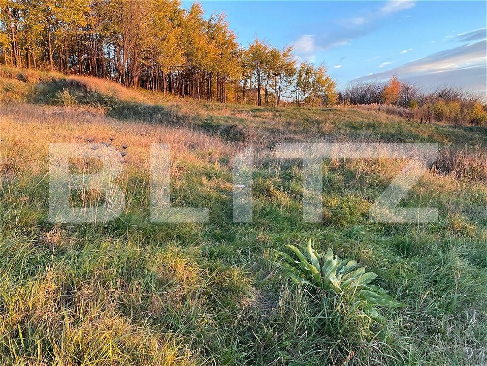 Teren de vânzare Viticultori - 160963TV | BLITZ Iași | Poza2