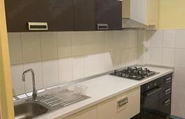 Apartament de 1 camera, 43 mp, zona Pacurari