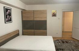 Apartament de 1 camera, 43 mp, zona Pacurari