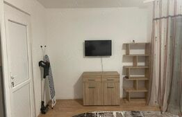 Apartament de 1 camera, 43 mp, zona Pacurari