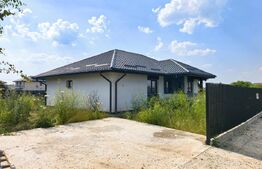 Casa Plan Parter 4 camere, 100 mp, 500 mp teren Vorovesti
