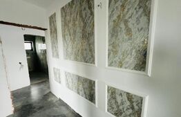 Casa Plan Parter 4 camere, 100 mp, 500 mp teren Vorovesti