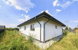 Casa Plan Parter 4 camere, 100 mp, 500 mp teren Vorovesti