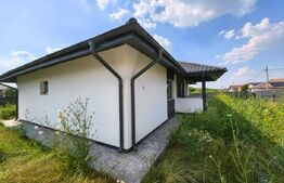 Casa Plan Parter 4 camere, 100 mp, 500 mp teren Vorovesti