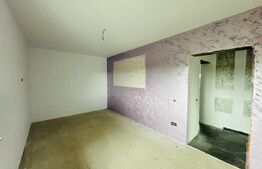 Casa Plan Parter 4 camere, 100 mp, 500 mp teren Vorovesti