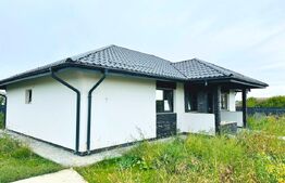 Casa Plan Parter 4 camere, 100 mp, 500 mp teren Vorovesti