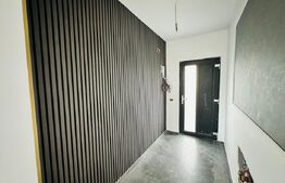 Casa Plan Parter 4 camere, 100 mp, 500 mp teren Vorovesti