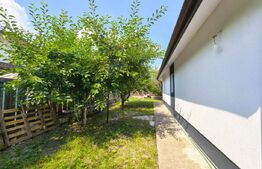 Casa Plan Parter 4 camere, 100 mp, 500 mp teren Vorovesti