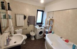 Casa 3 camere, 480 mp teren, Aroneanu