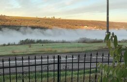 Casa 3 camere, 480 mp teren, Aroneanu