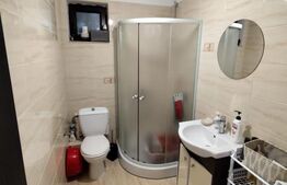 Casa 3 camere, 480 mp teren, Aroneanu