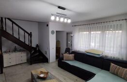 Casa 3 camere, 480 mp teren, Aroneanu