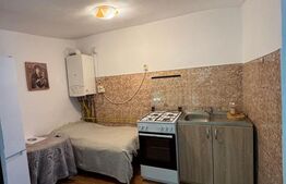 Corp de casă 58 mp utili total,  Copou Sararie  Iași