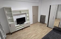 Apartament 1 camera, 32 mp, Valea Adanca