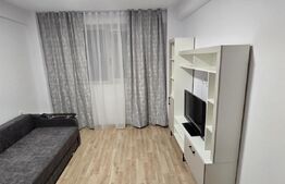 Apartament 1 camera, 32 mp, Valea Adanca