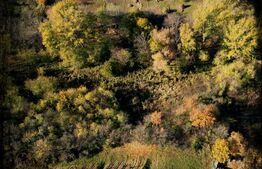 Teren intravilan 2344 mp, din care  cale de acces de 289 mp, TOMESTI 