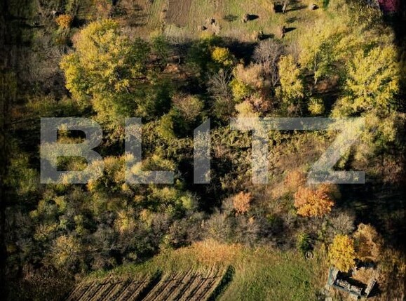 Teren de vânzare Tomesti - 161421TV | BLITZ Iași | Poza1