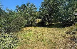 Oportunitate Rară! Teren Intravilan 1010 mp, Barnova la stradă