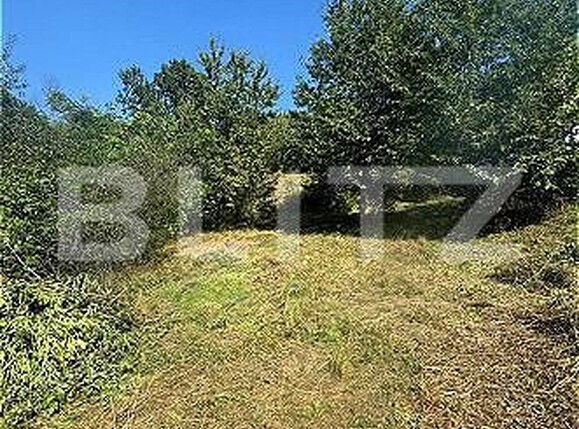 Teren de vânzare Barnova  - 161522TV | BLITZ Iași | Poza1