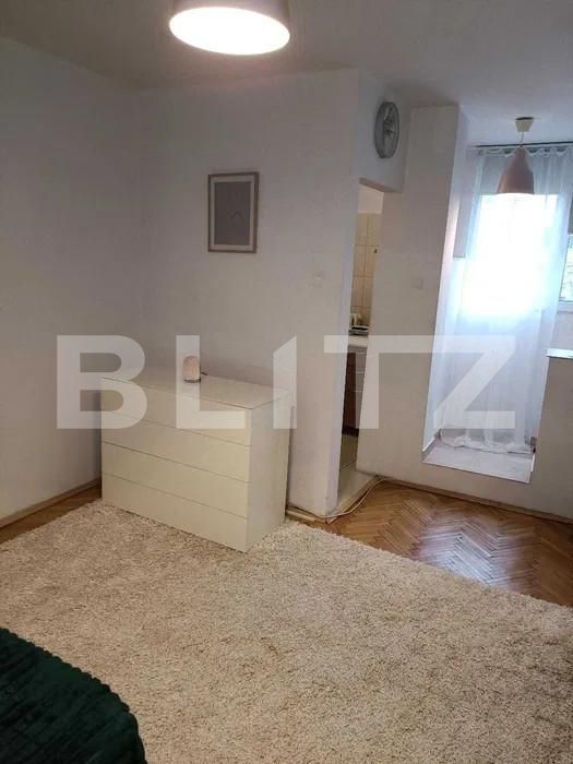 Garsonieră de închiriat Tatarasi - 161659AI | BLITZ Iași | Poza3