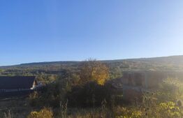 Teren intravilan 1000 mp, la asfalt,  in Goruni-Tomesti 