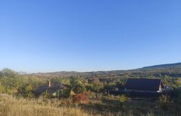 Teren intravilan 1000 mp, la asfalt,  in Goruni-Tomesti 