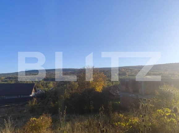 Teren de vânzare Tomesti - 161798TV | BLITZ Iași | Poza2