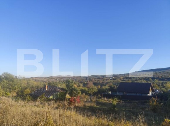 Teren de vânzare Tomesti - 161798TV | BLITZ Iași | Poza1