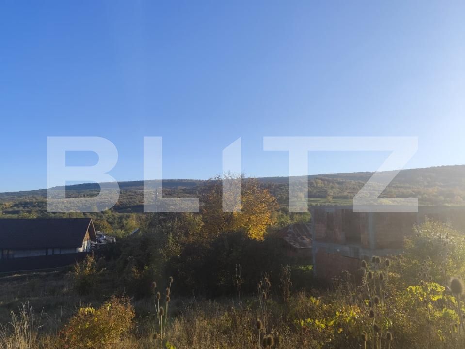 Teren de vânzare Tomesti - 161798TV | BLITZ Iași | Poza2