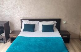 Apartament 1 camera, 32 mp, Copou