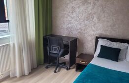 Apartament 1 camera, 32 mp, Copou