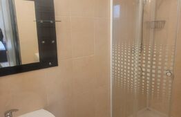 Apartament 1 camera, 32 mp, Copou