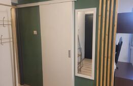 Apartament 1 camera, 32 mp, Copou