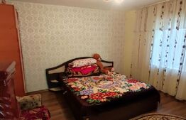 Vand casa batraneasca tip duplex în Valea Lupului