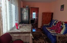 Vand casa batraneasca tip duplex în Valea Lupului