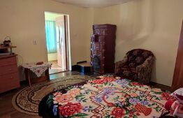 Vand casa batraneasca tip duplex în Valea Lupului