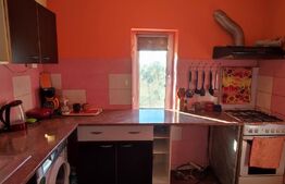 Vand casa batraneasca tip duplex în Valea Lupului