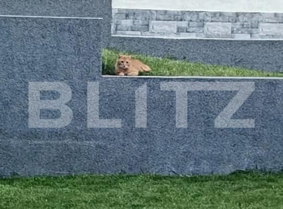 Casa de închiriat 4 camere Nord-Vest - 161889CI | BLITZ Iași | Poza9