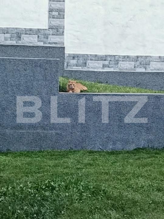 Casa de închiriat 4 camere Nord-Vest - 161889CI | BLITZ Iași | Poza9