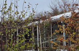 Teren 807 mp, zona-Tatarasi-Iulius Mall