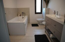 Casa 5 camere P+1, 153 mp utili, 530 mp teren, Valea Ursului