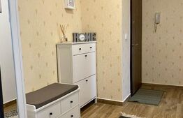 Apartament 2 camere, 50 mp, Podul Ros